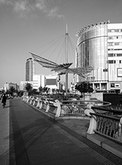 莘县公司注册